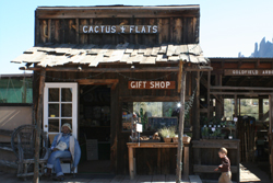 cactusflats